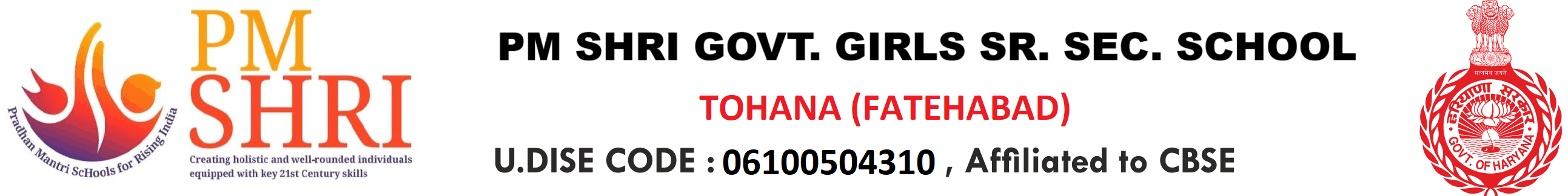 PMSGGSSS-Tohana"